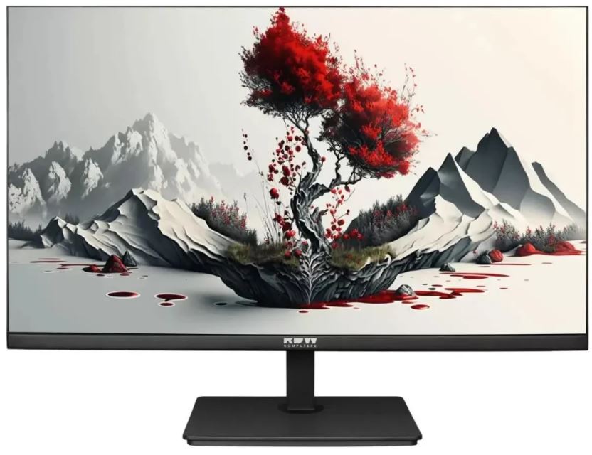 Монитор 23,8 RDW Computers 2401K/F08В3120V2A1 черный IPS 4ms HDMI M/M HAS Piv 350cd 178гр/178гр 1920x1080 120Hz VGA DP FHD USB (RUS)