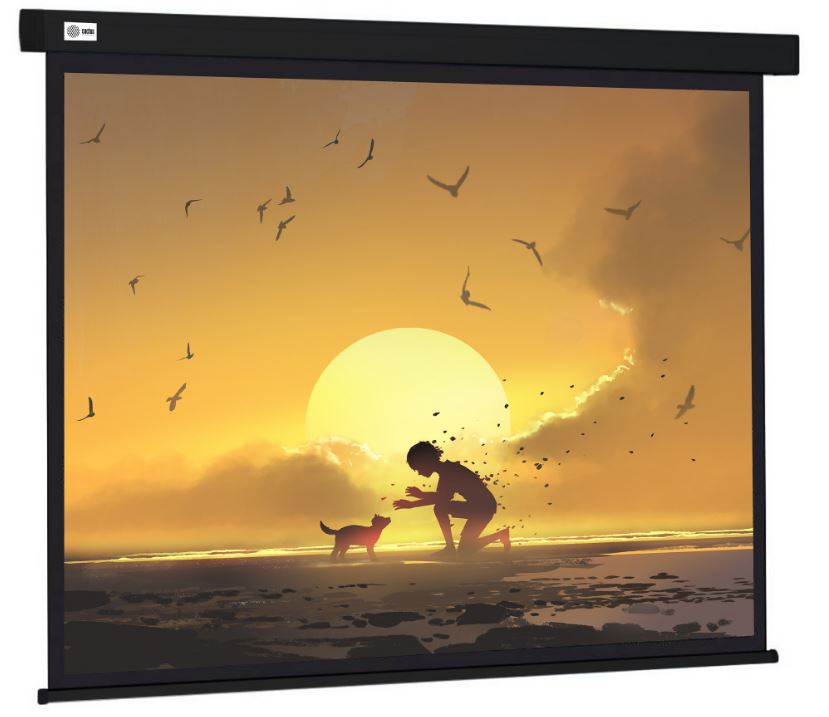Экран Cactus CS-PSW-150X150-BK Wallscreen 1:1 настенно-потолочный рулонный черный