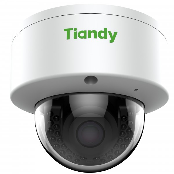 IP камера TIANDY TC-NC24M 2MP DOME