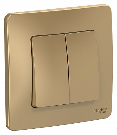 Выключатель Schneider Electric BLNVS010504 2-клавишный, 10А, 250B Титан внутр