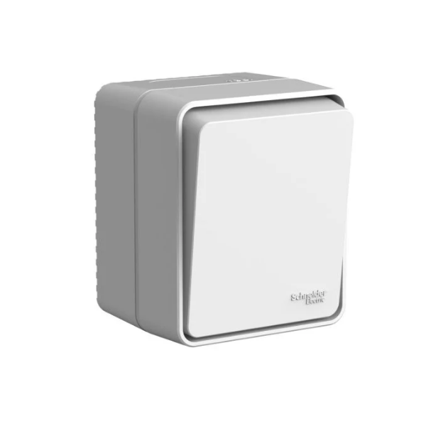Выключатель Systeme Electric ATN543015 AtlasDesign Profi54 Наруж Серый 1-клавишный с самовозвратом 10 АХ