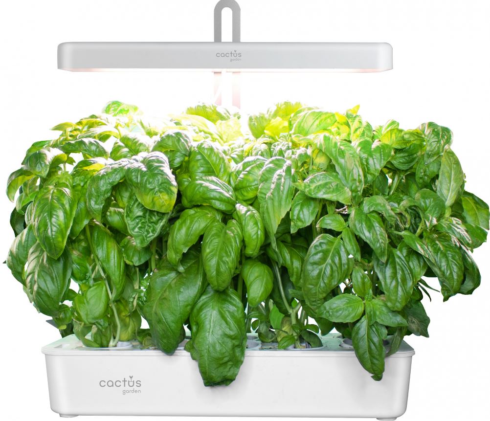 Кашпо Cactus CS-LEDPOT-10 Garden 2.0л белый