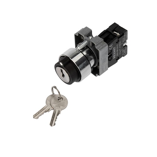 Переключатель Rexant 36-5552 BD21 2P с замком NO