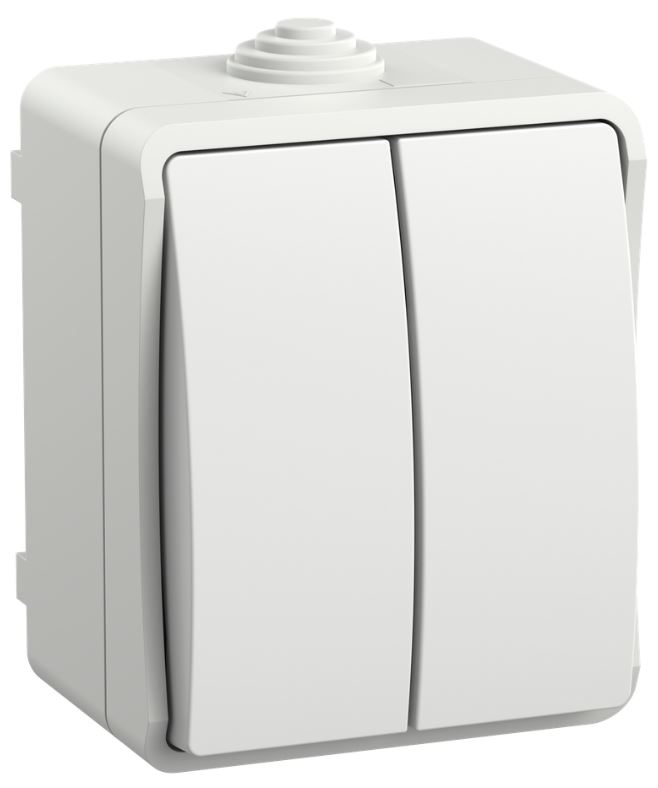 Выключатель двухклавишный IEK EVS20-K01-10-54-DC FORS открытой установки IP54 ВС20-2-0-ФБ белый