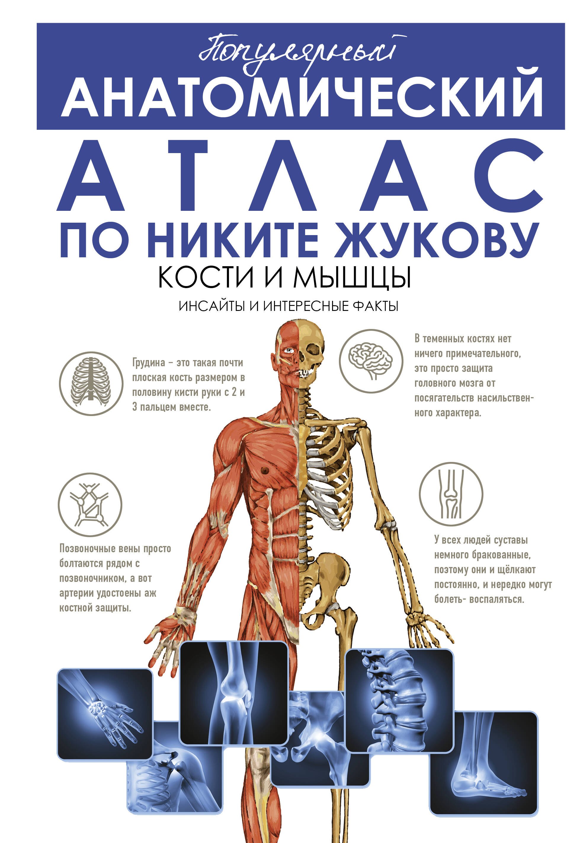 Популярный анатомический атлас по Никите Жукову. Кости и мышцы. Инсайты и интересные факты