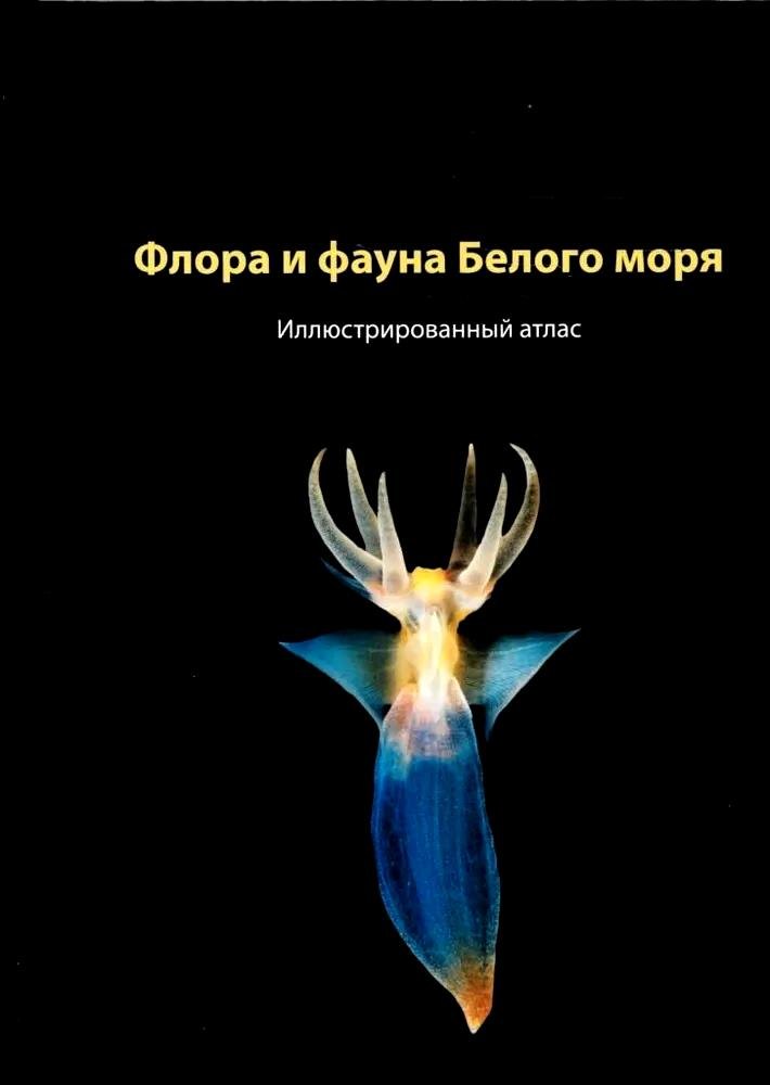 Флора и фауна Белого моря. Иллюстрированный атлас