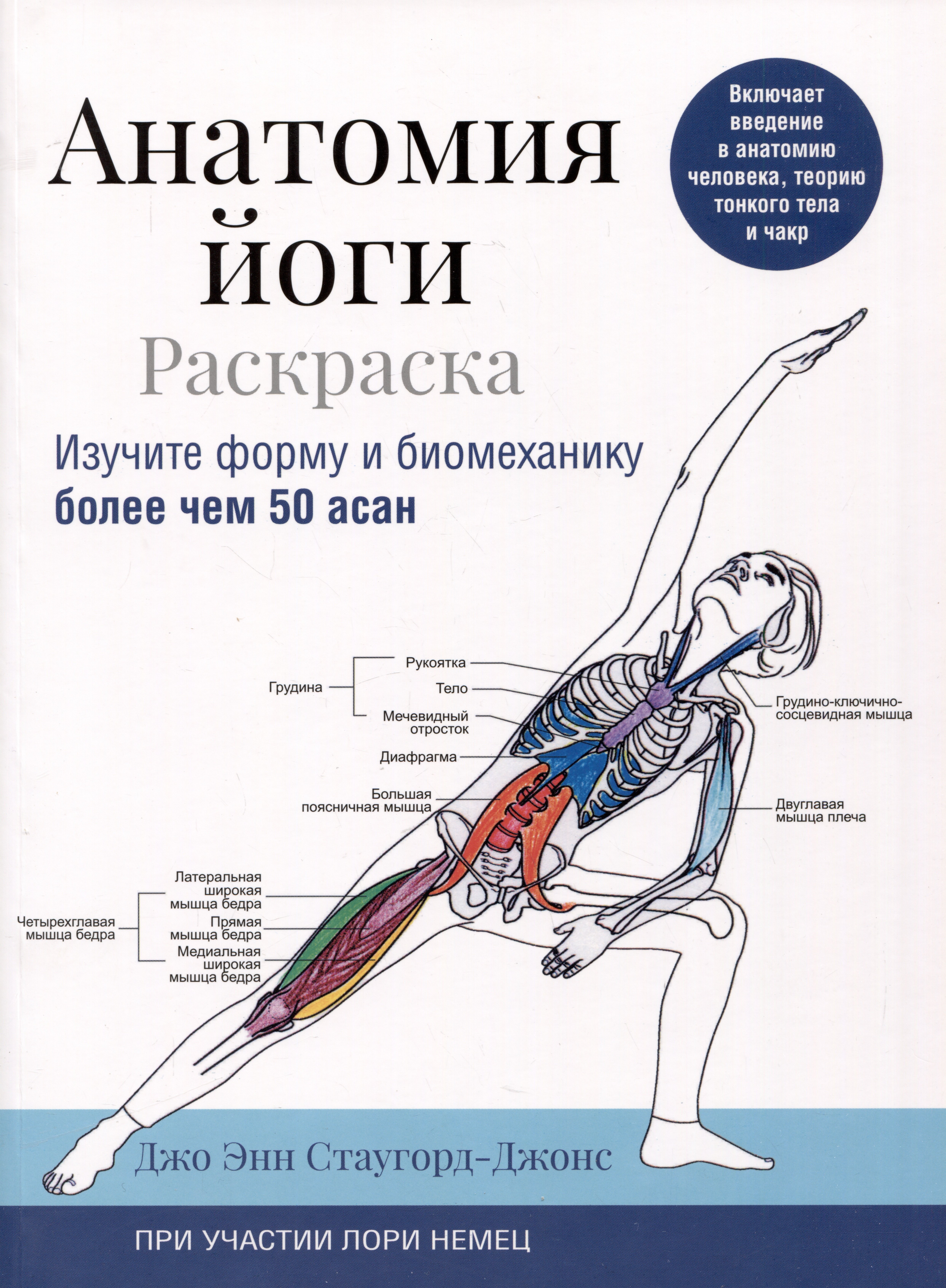 Йога. Пилатес Анатомия йоги: раскраска. Изучите форму и биомеханику более чем 50 асан