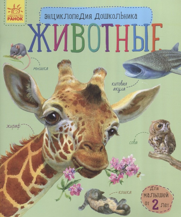 Животные