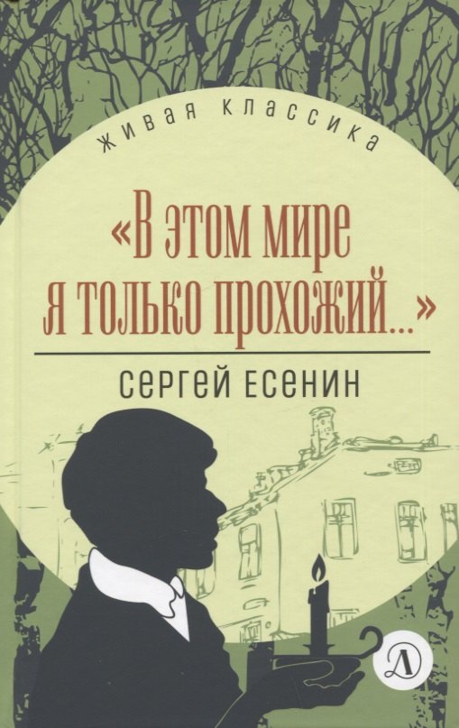 В этом мире я только прохожий.... Стихотворения и поэмы