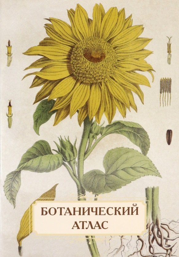  Ботанический атлас. Н.П. Животовский