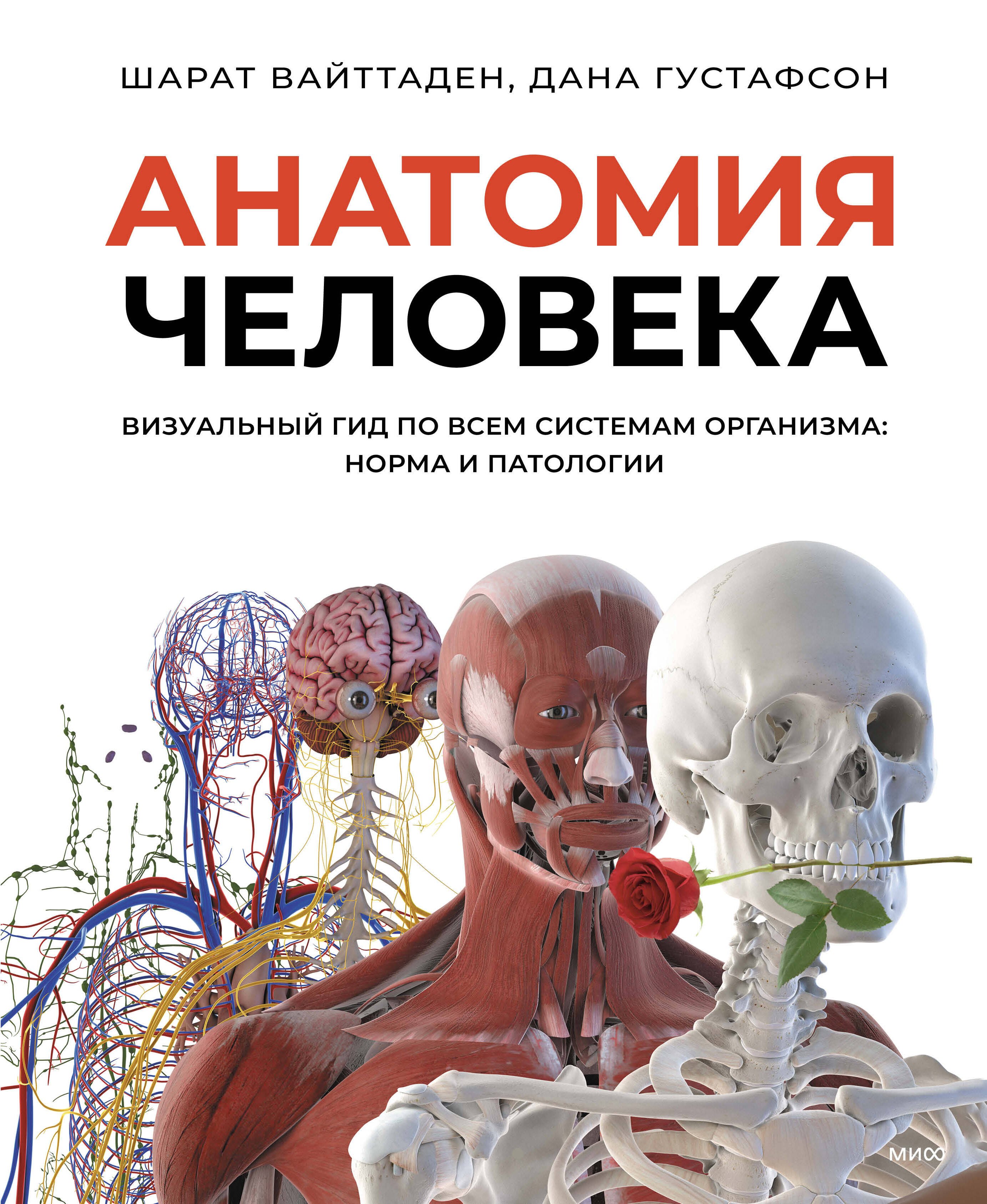 Анатомия человека. Визуальный гид по всем системам организма: норма и патологии