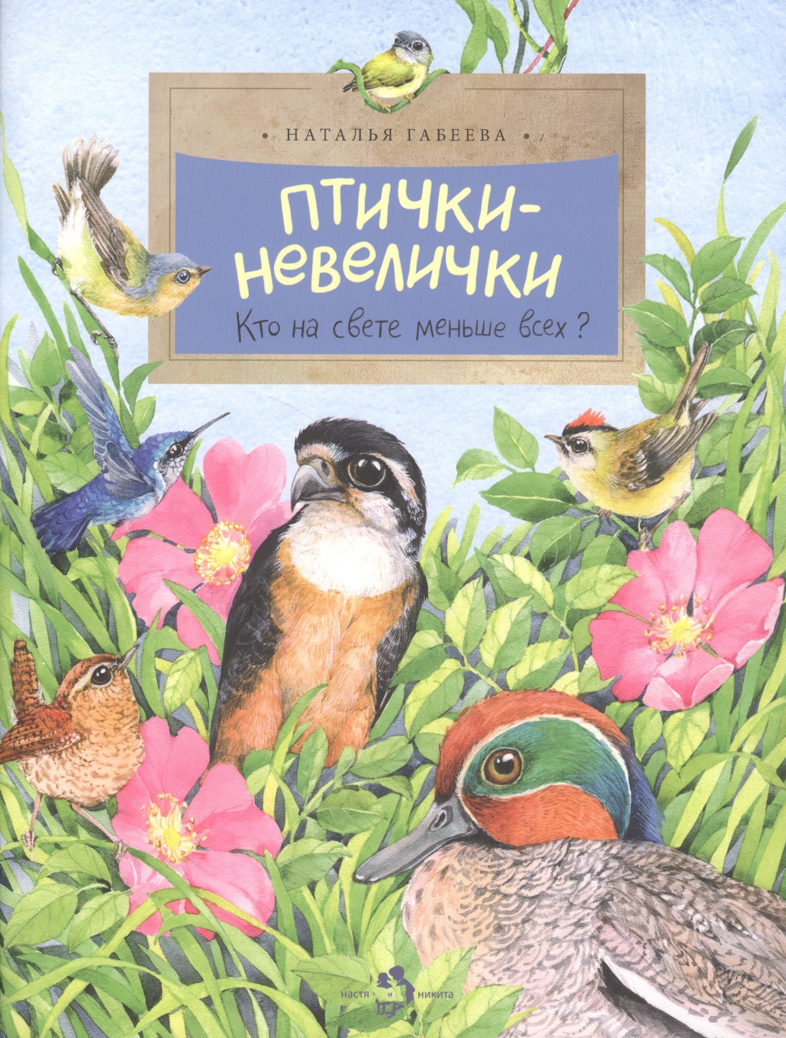 Птички-невелички.Кто на свете меньше всех?