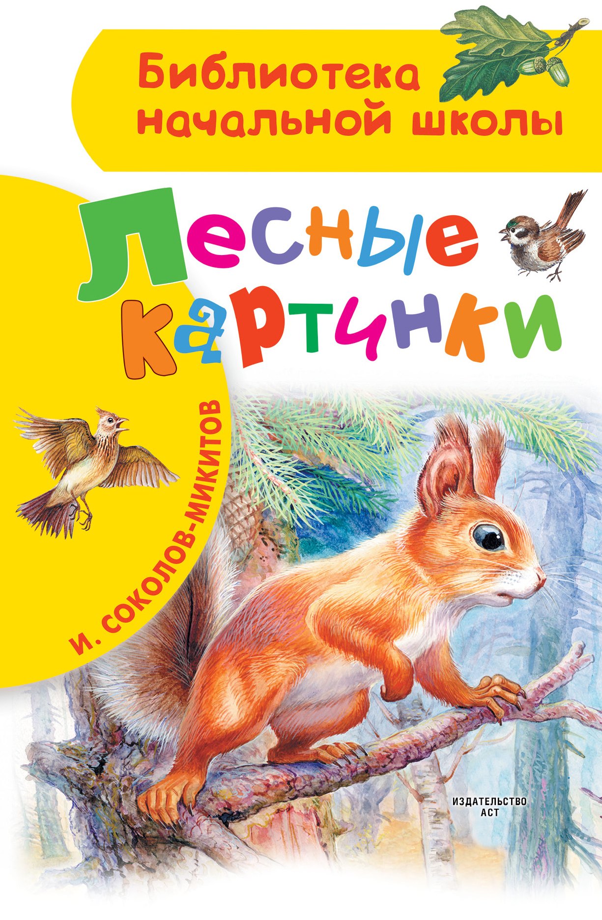 Лесные картинки