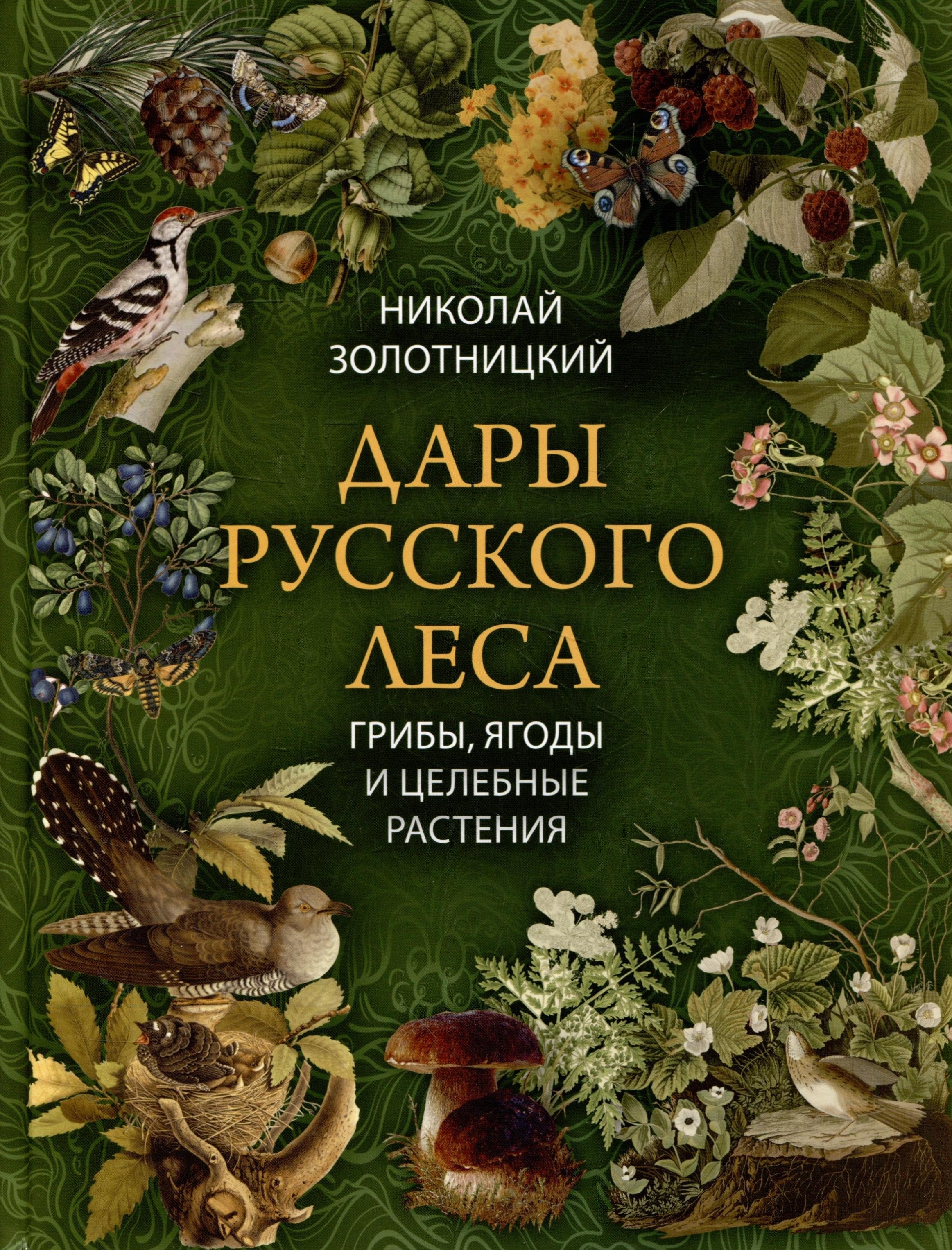 Дары русского леса. Грибы, ягоды и целительные растения