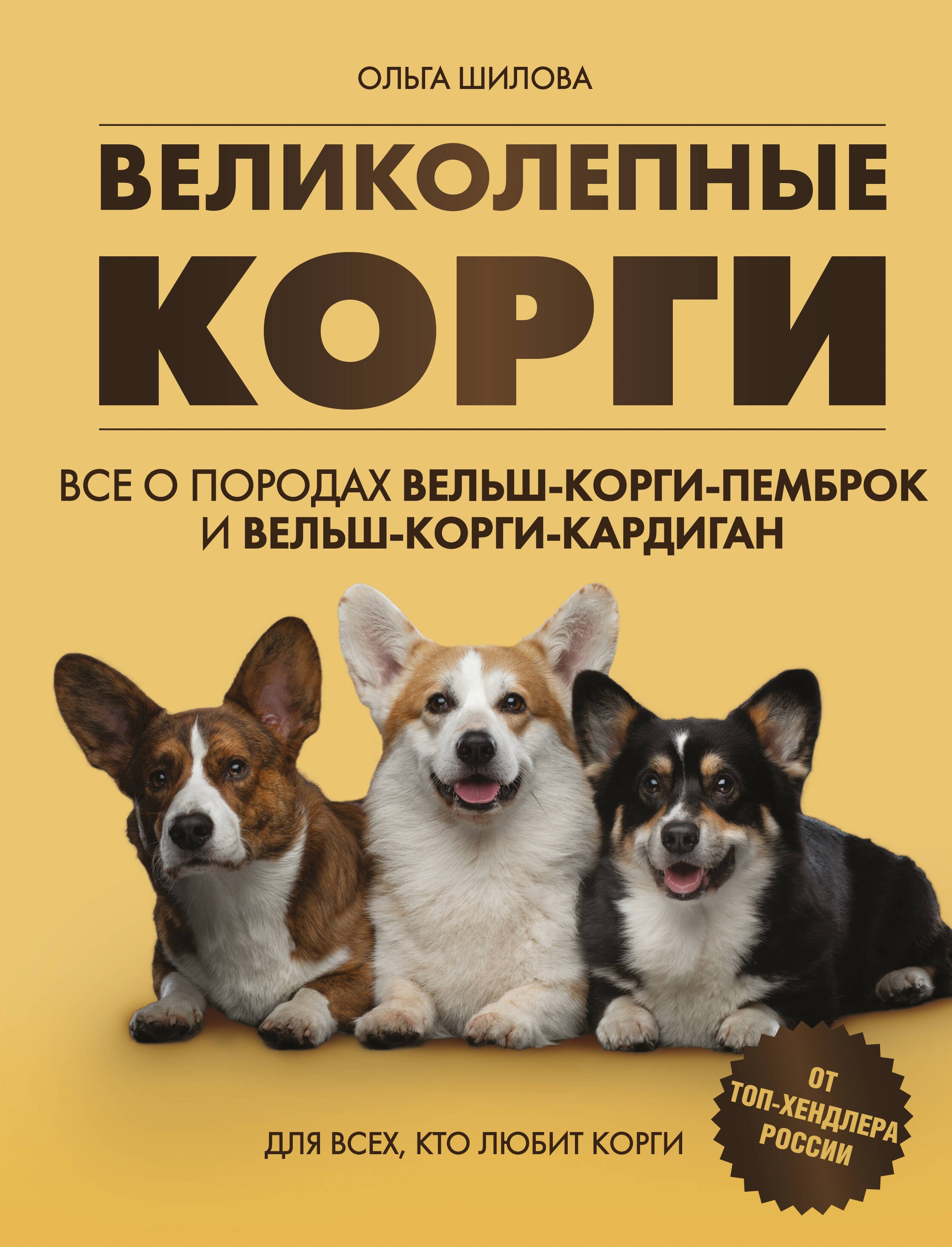 Собаки Великолепные корги. Все о породах вельш-корги-пемброк и вельш-корги-кардиган