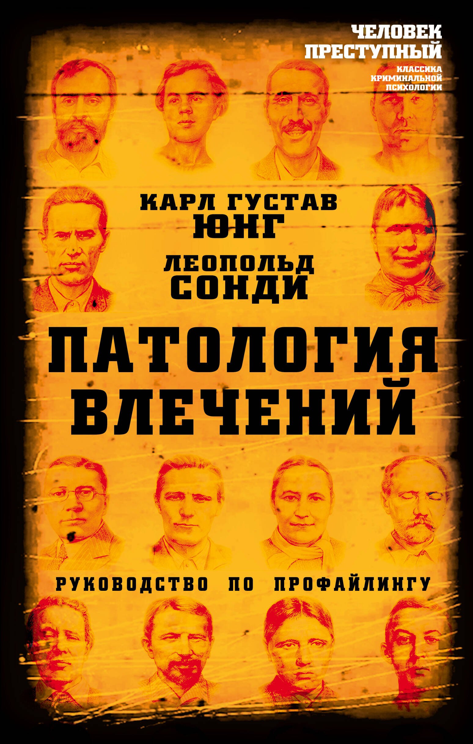 Общие вопросы психологии  Читай-город Патология влечений. Руководство по профайлингу