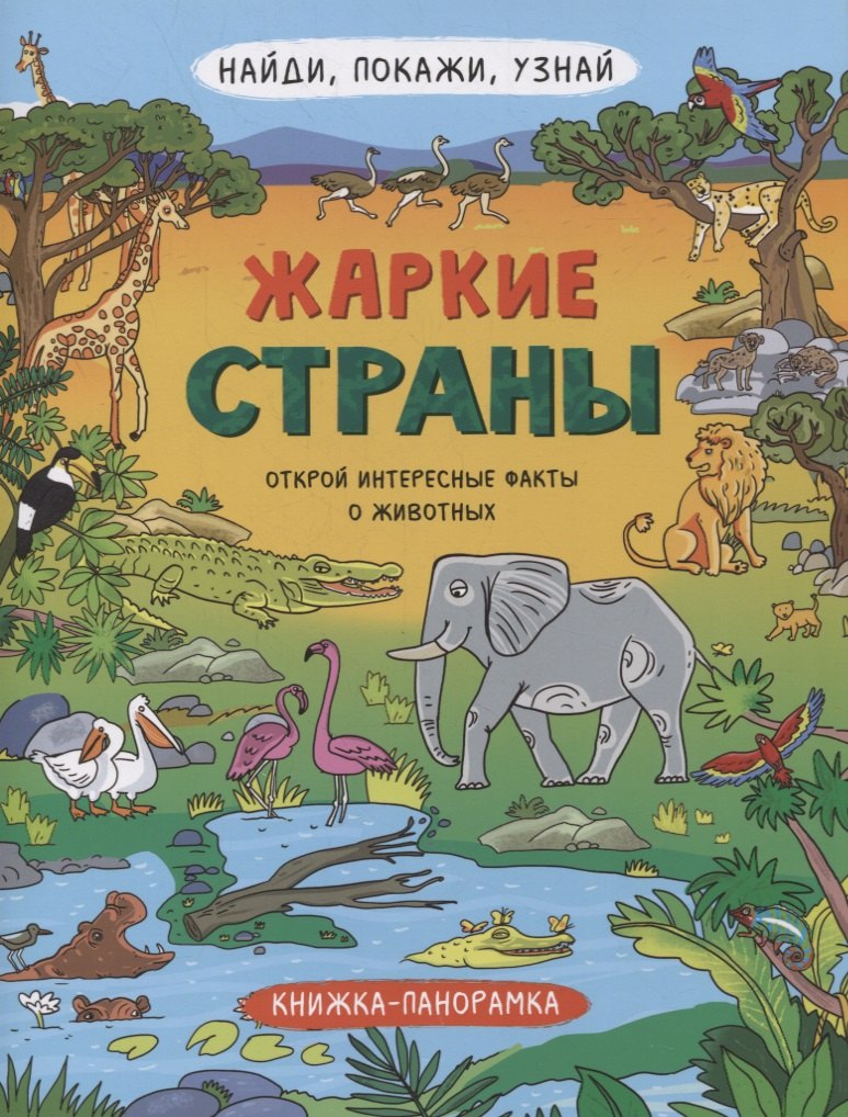 Книжка-панорамка Жаркие страны