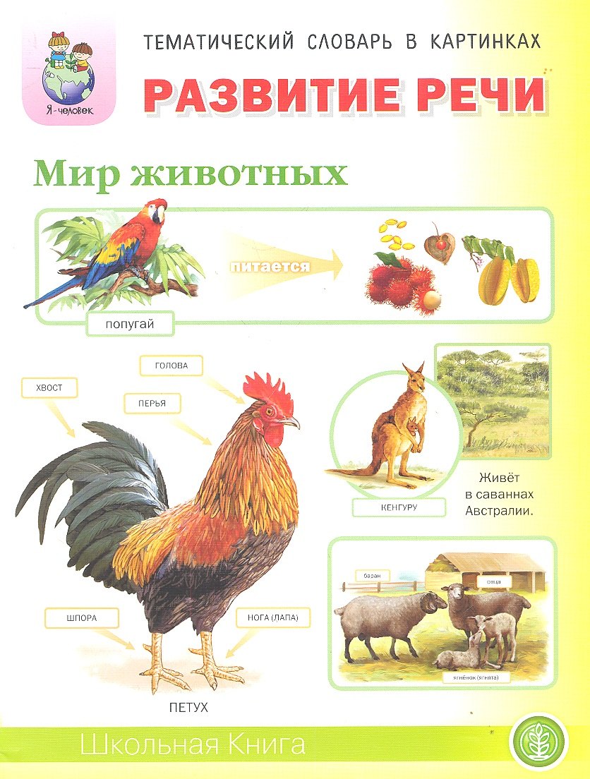 Развитие ребенка  Читай-город Развитие речи Мир животных… (5-7 л.) (мТемСлКартинк)