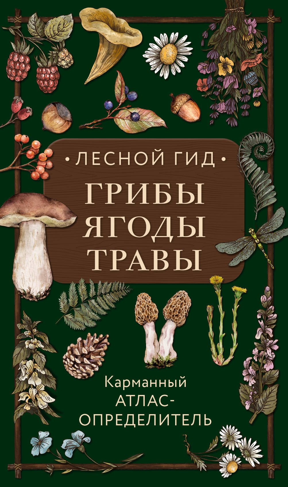   Читай-город Лесной гид: грибы, ягоды, травы. Карманный атлас-определитель