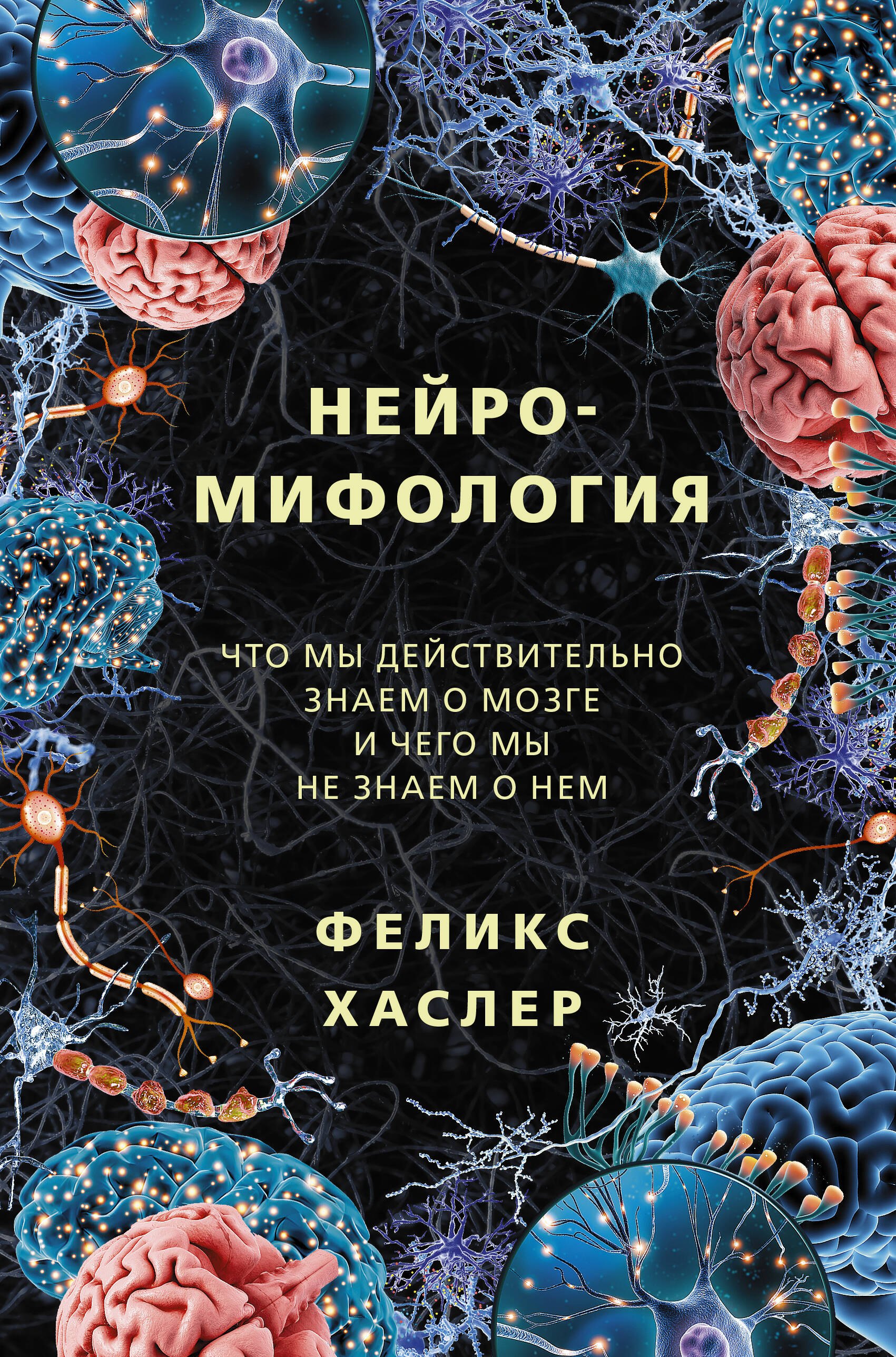 История философии  Читай-город Нейромифология