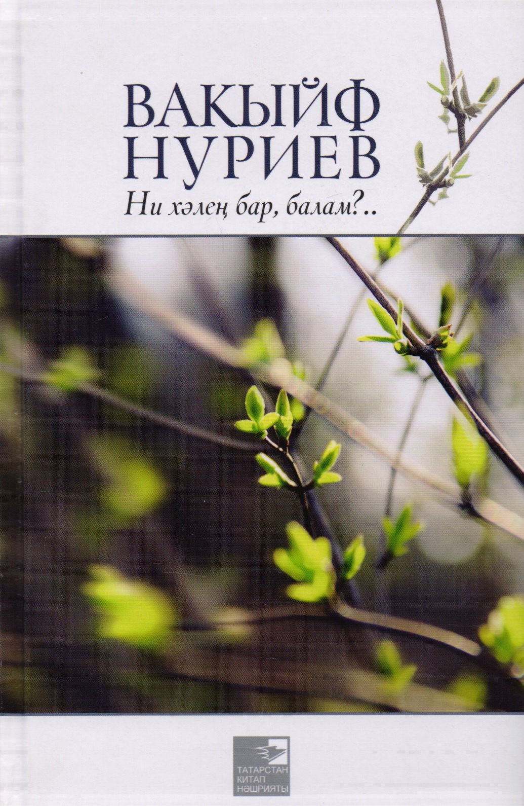 Как у тебя дела, сынок? / Ни хэлен бар, балам?