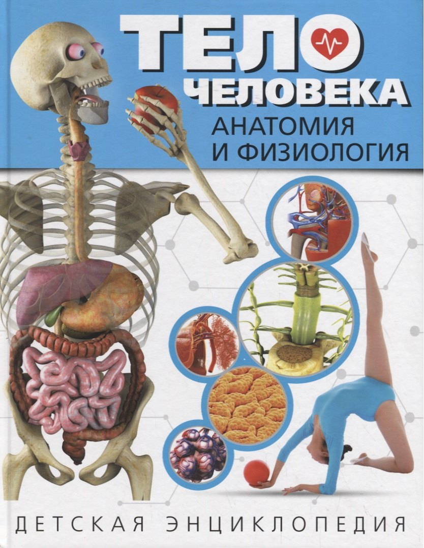 Тело человека. Анатомия и физиология. Детская энциклопедия