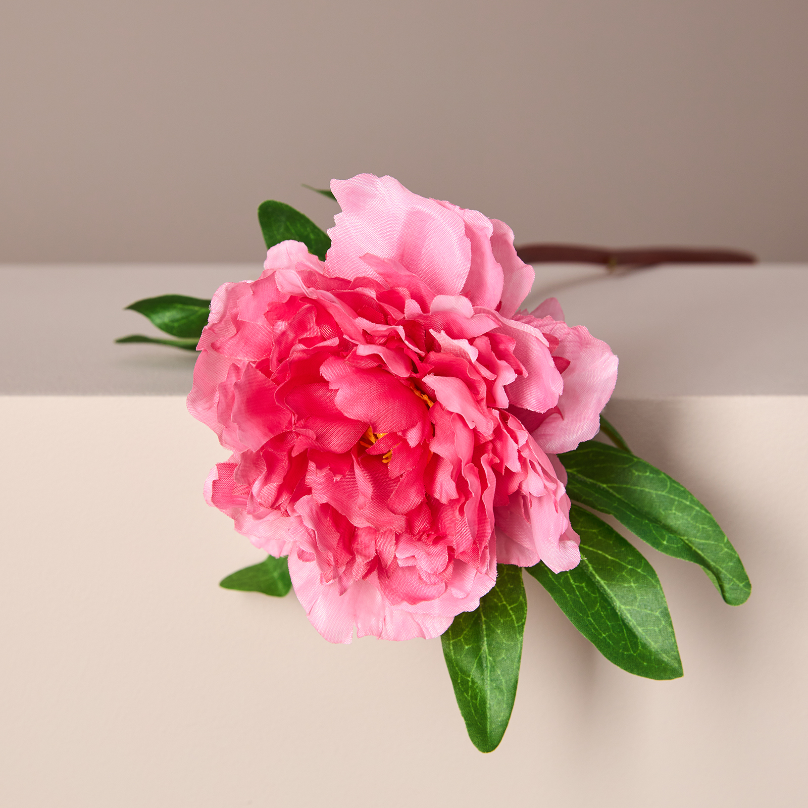 Цветок Peony