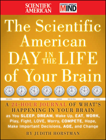 The Scientific American Day in the Life of Your Brain. A 24 hour Journal of What's Happening in Your Brain as you Sleep, Dream, Wake Up, Eat, Work, Play, Fight, Love, Worry, Compete, Hope, Make Important Decisions, Age and Change