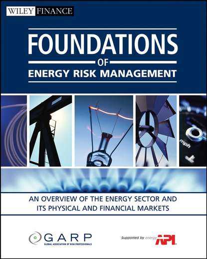 Техническая литература  ЛитРес Foundations of Energy Risk Management. An Overview of the Energy Sector and Its Physical and Financial Markets