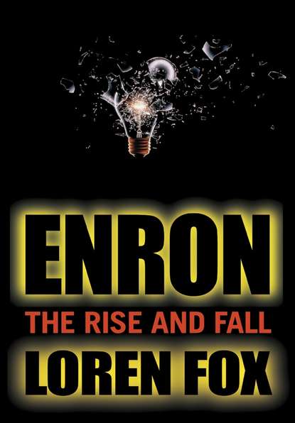 Техническая литература Enron. The Rise and Fall