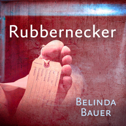 Триллеры  ЛитРес Rubbernecker (Unabridged)