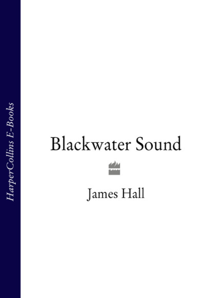 Триллеры  ЛитРес Blackwater Sound