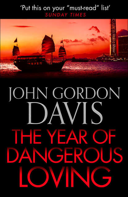 Триллеры The Year of Dangerous Loving