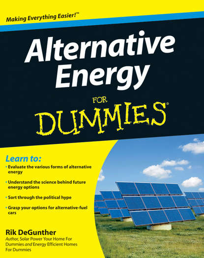 Техническая литература  ЛитРес Alternative Energy For Dummies