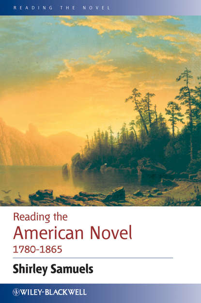 Критика Reading the American Novel 1780 - 1865