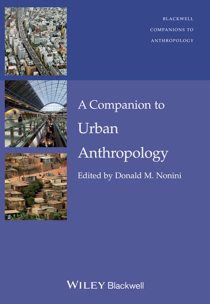 Культурология  ЛитРес A Companion to Urban Anthropology