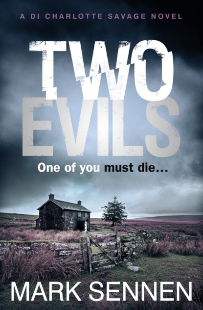 Триллеры Two Evils: A DI Charlotte Savage Novel