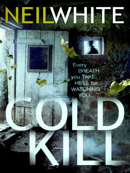 Триллеры  ЛитРес COLD KILL