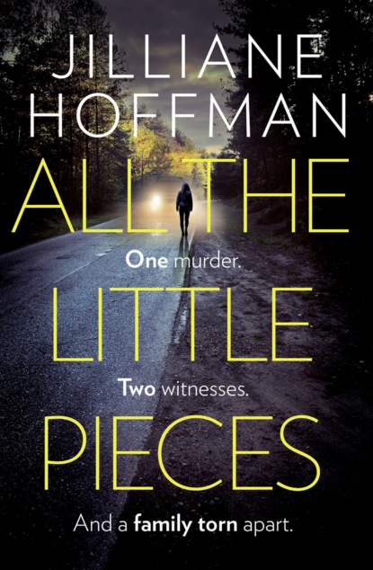 Триллеры  ЛитРес All the Little Pieces