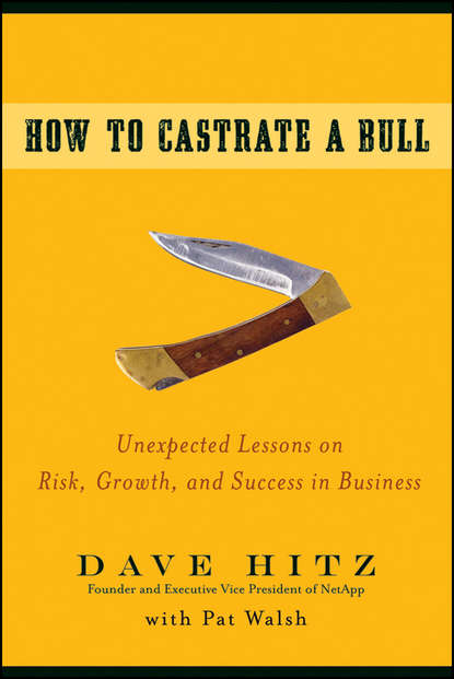 How to Castrate a Bull. Unexpected Lessons on Risk, Growth, and Success in Business