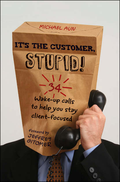 Маркетинг, PR, реклама  ЛитРес It's the Customer, Stupid!. 34 Wake-up Calls to Help You Stay Client-Focused