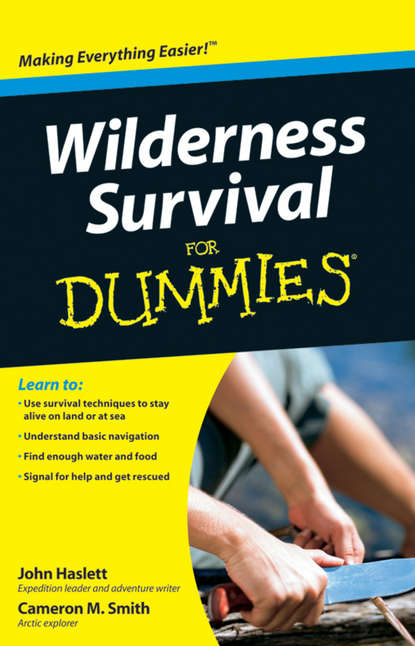 Спорт, фитнес Wilderness Survival For Dummies