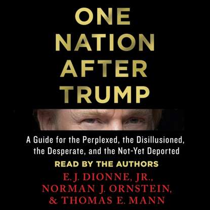 Экономика  ЛитРес One Nation After Trump