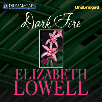 Dark Fire - McCalls, Book 2 (Unabridged)