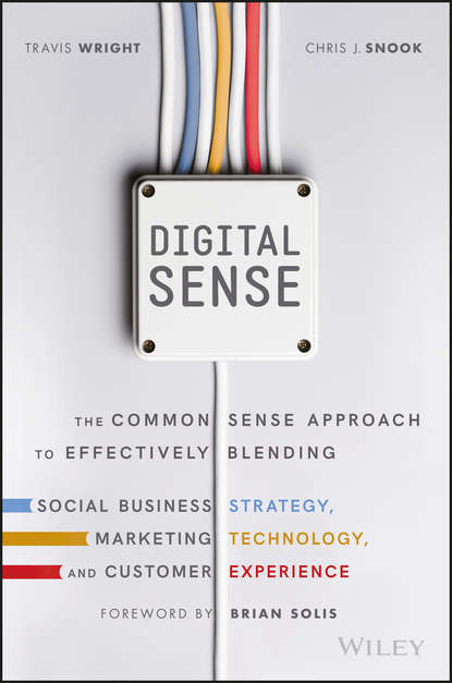 Маркетинг, PR, реклама  ЛитРес Digital Sense. The Common Sense Approach to Effectively Blending Social Business Strategy, Marketing Technology, and Customer Experience