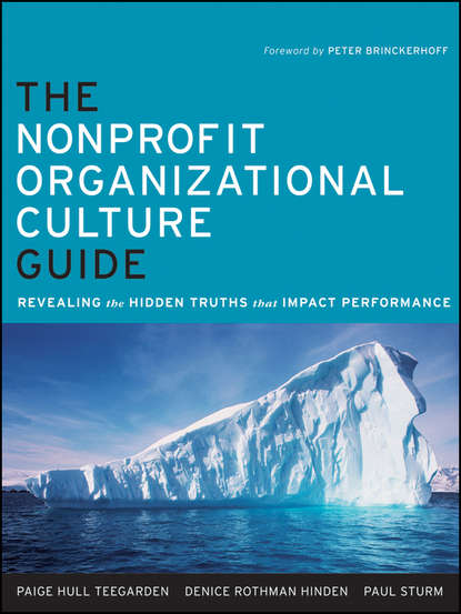 Экономика The Nonprofit Organizational Culture Guide