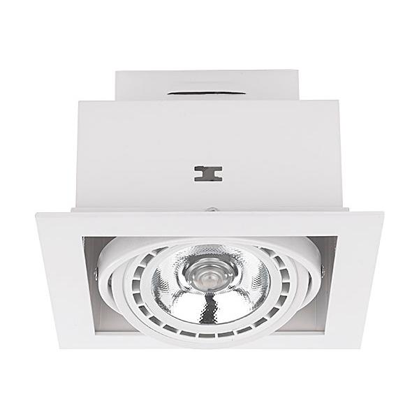 Карданные светильники Карданный светильник Nowodvorski DOWNLIGHT 9575