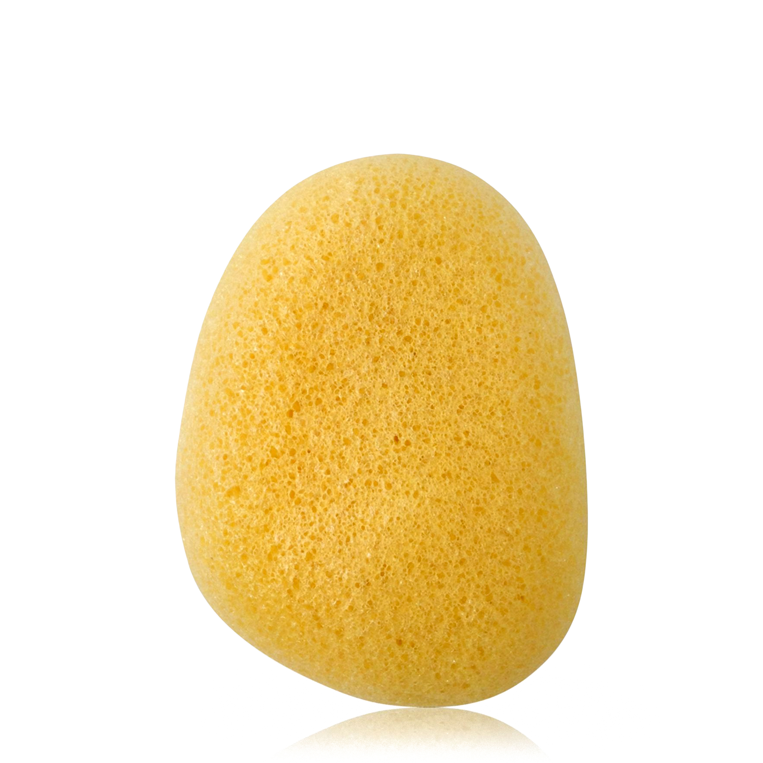 Аксессуары  FOAM Daily Concepts Daily Concepts Спонж конняку с куркумой Daily Konjac Sponge Turmeric 1 шт