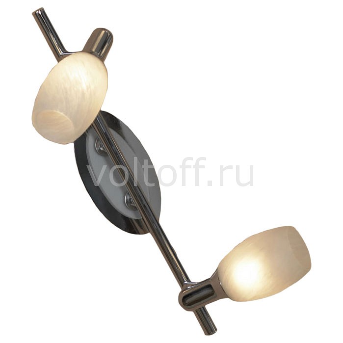 Спот Lussole