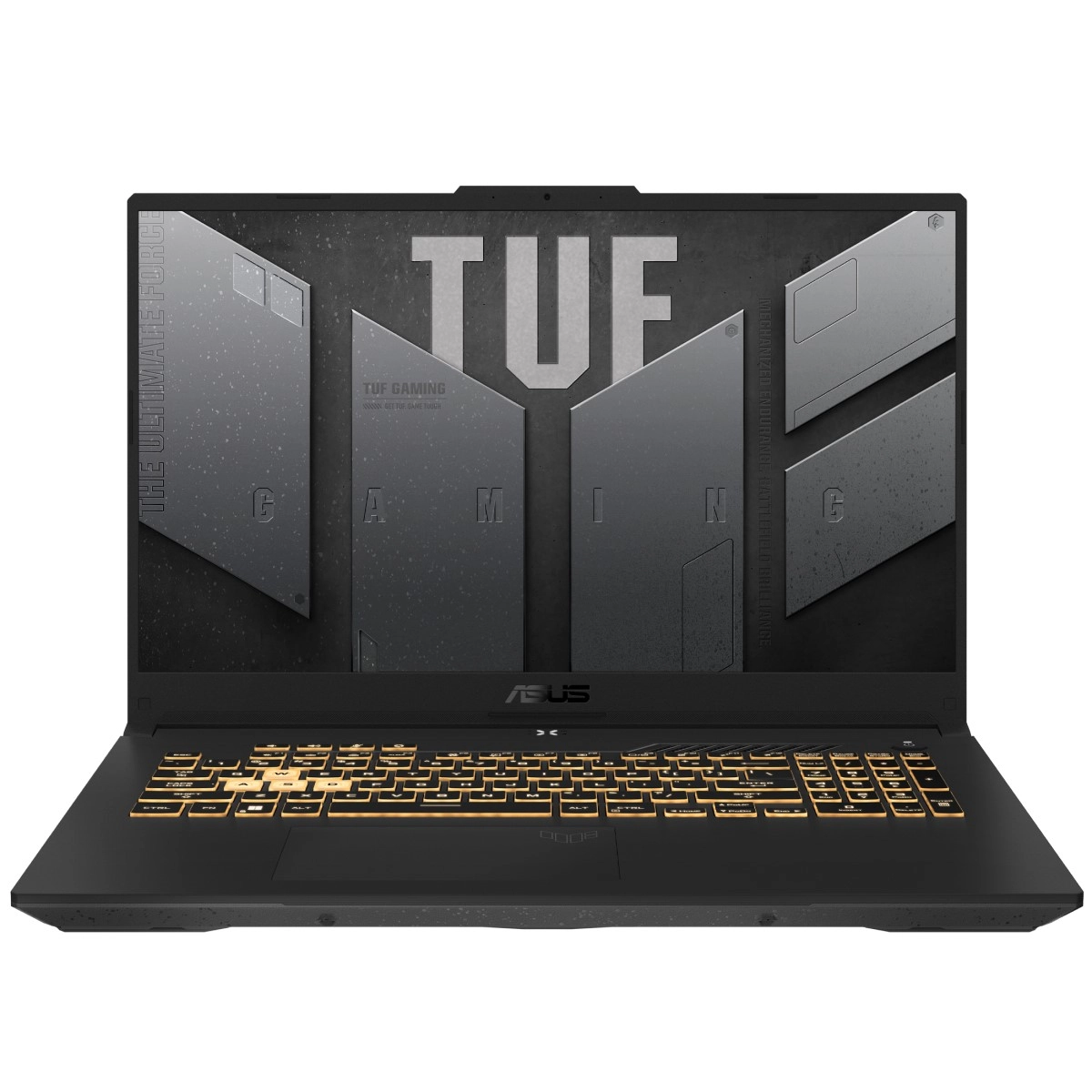 Ноутбук ASUS TUF F17 FX707ZC4-HX095 17.3 (90NR0GX1-M006F0)